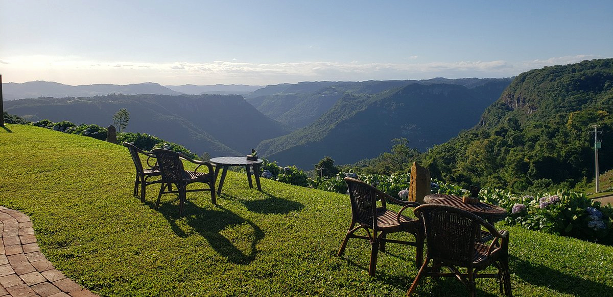 Olivas de Gramado