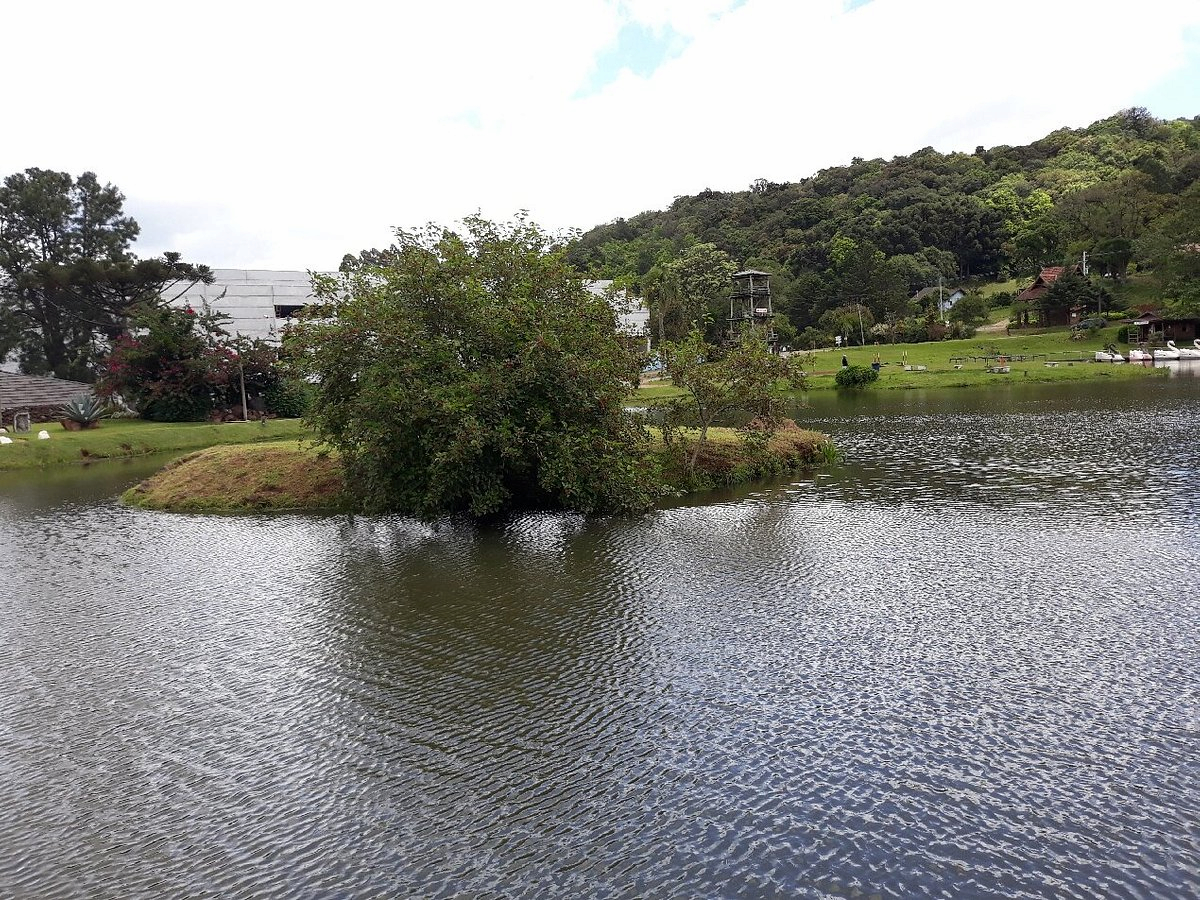 Parque Tomasini